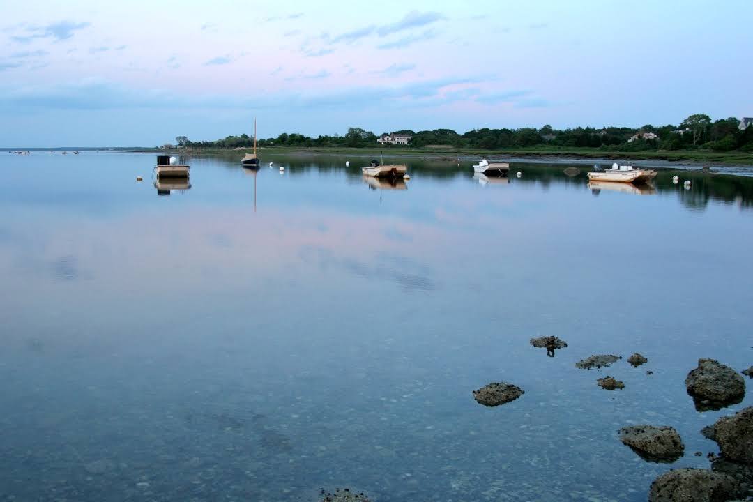 Parque Estatal Nickerson